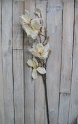 Ośnieżona gałązka magnolii 92cm